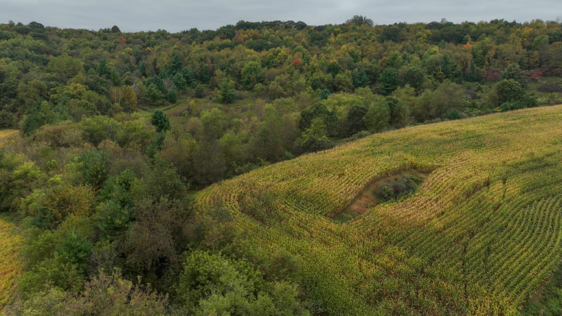 0 Pierce Road Hixton, WI 54635 - Photo 25 of 90 Gallery Image 25