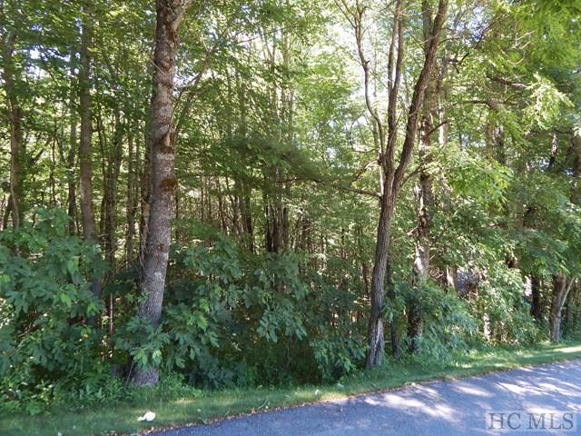 Tbd Ridge Lane Highlands, NC 28741 - Photo 1 of 1 Gallery Image 1