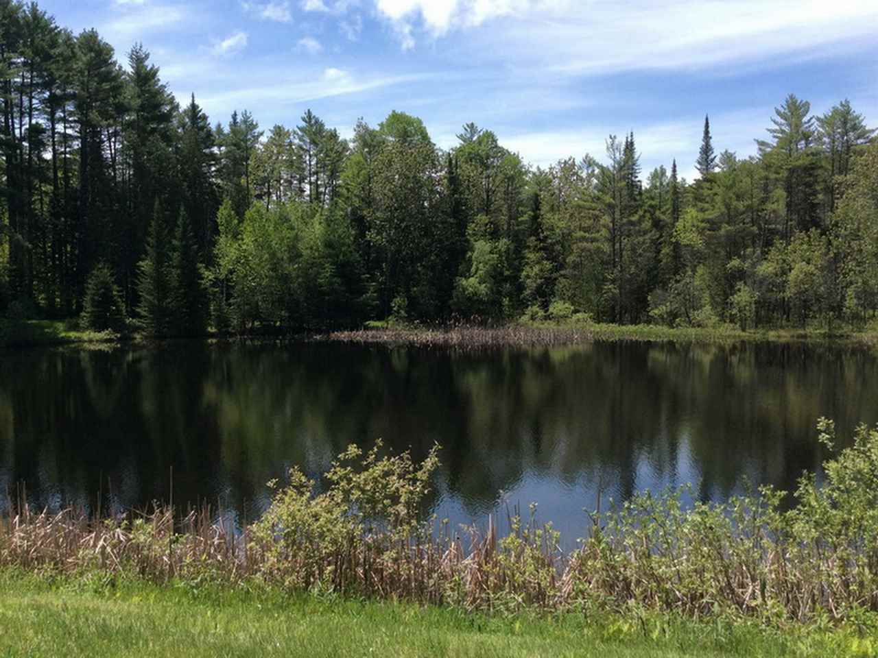 155 Quebec Road Lyman, NH 03585 - Photo 4 of 40