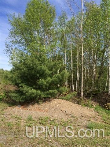 Tbd Arvon Road, Unit ARVON & CONSERVATION RDS Lanse, MI 49946 - Photo 15 of 19