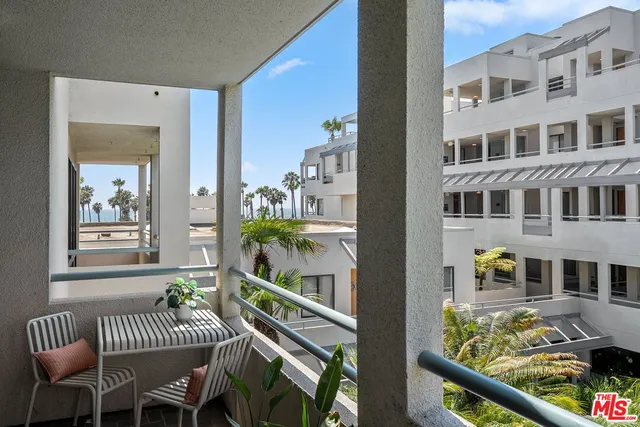 a view of a palm plant in front of house