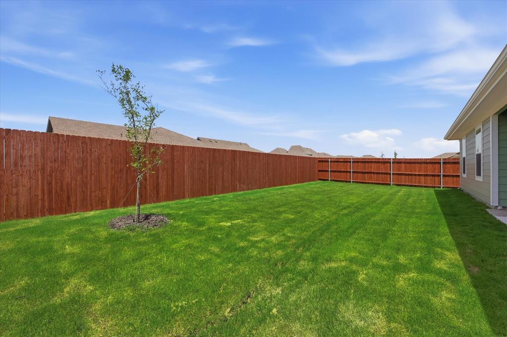 722 Orchid Way Pilot Point, TX 76258 - Photo 28 of 34