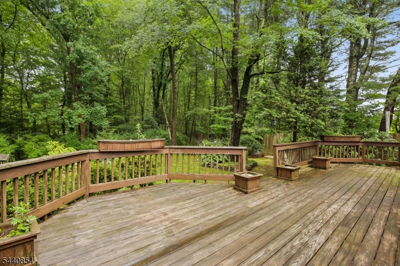 554 Green Pond Road Rockaway, NJ 07866 - Photo 46 of 48