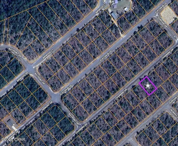 $7,995 | 0 Channing Drive, Chipley, FL 32428