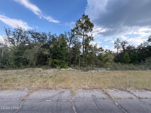 $7,995 | 0 Channing Drive, Chipley, FL 32428