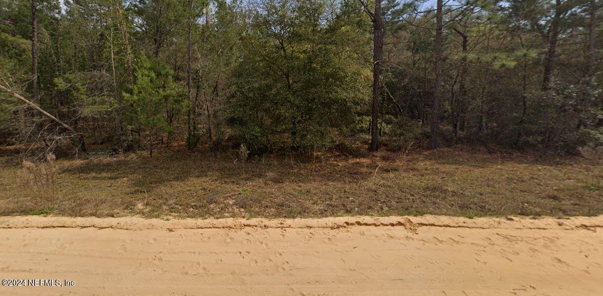 0 Michael Avenue Interlachen, FL 32148 - Photo 2 of 3 michaelpic