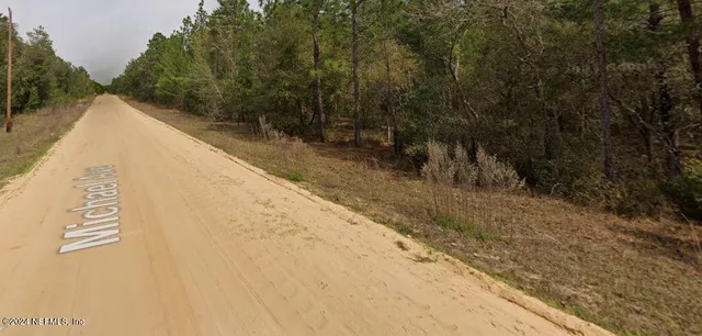 $10,000 | 0 Michael Avenue, Interlachen, FL 32148