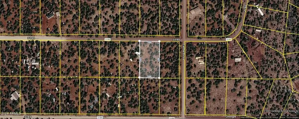 $25,000 | 30 Acr 3190 Road, Unit 351, Show Low, AZ 85901