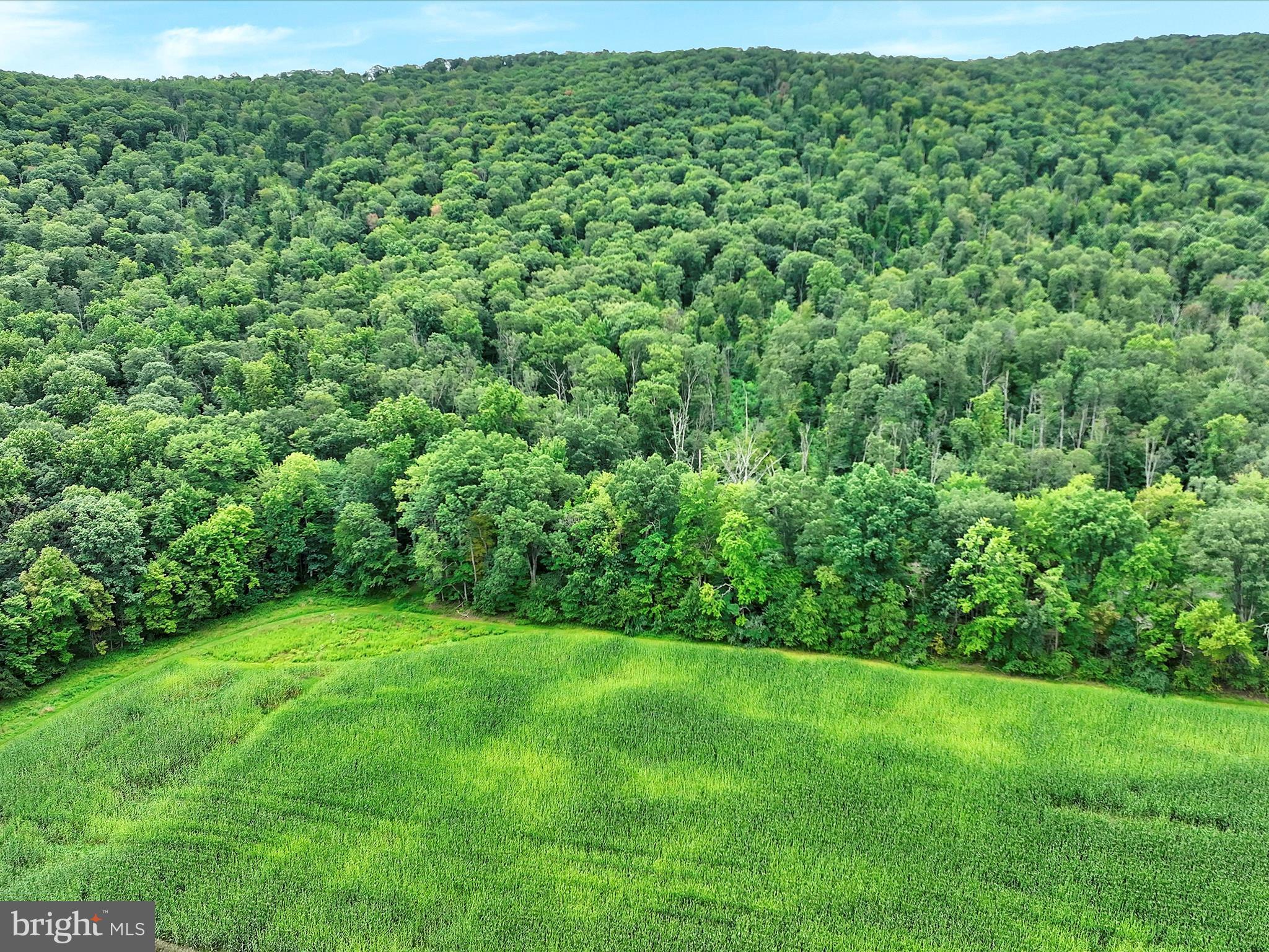 Summit Branch Elizabethville, PA 17023 - Photo 2 of 4 a view of a lush green space
