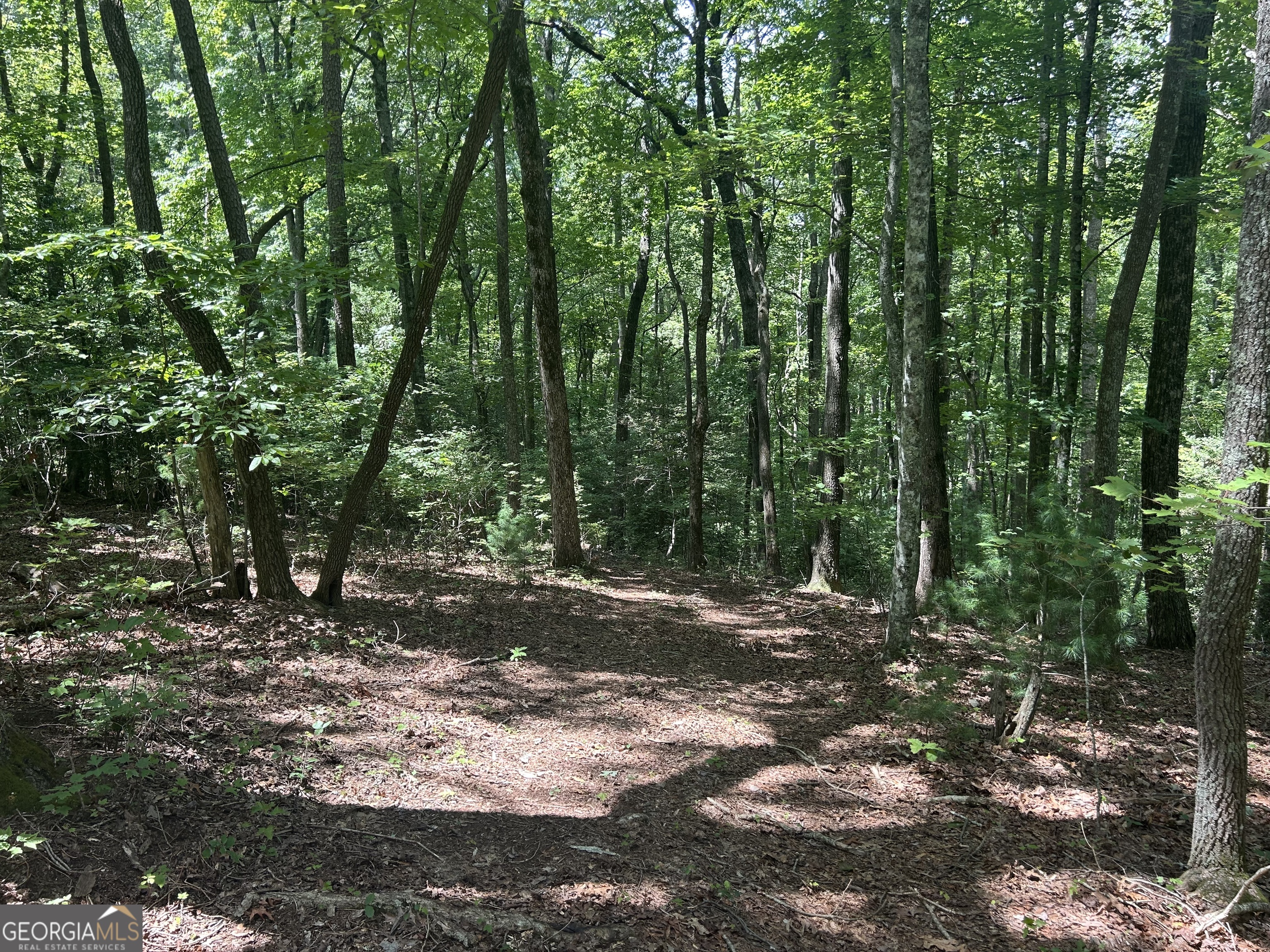22.5-ac Hwy 2, Unit TR 6 Blue Ridge, GA 30513 - Photo 1 of 1 Gallery Image 1