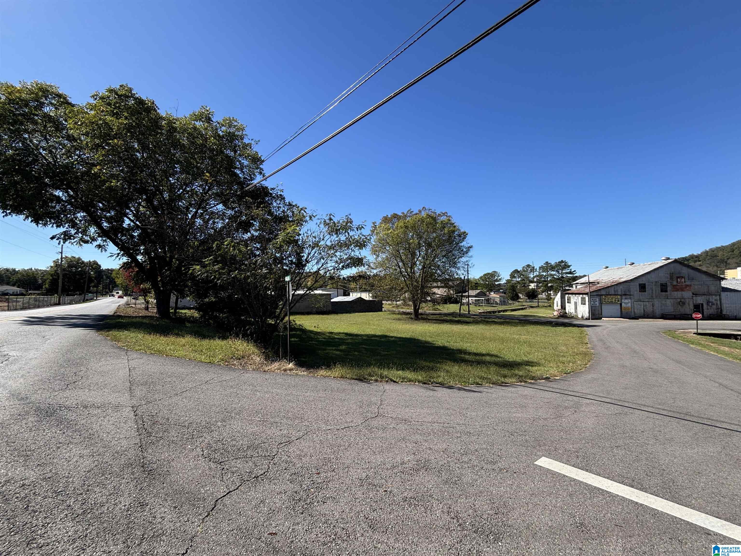 High School Street, Unit 20 Oneonta, AL 35121 - Photo 5 of 9
