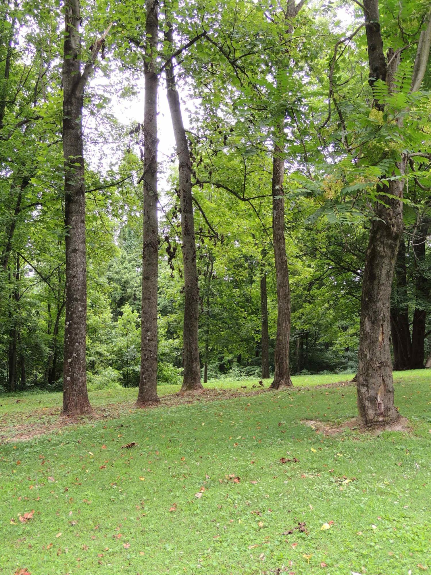 12944 Jake Tom Road Logan, OH 43138 - Photo 11 of 17