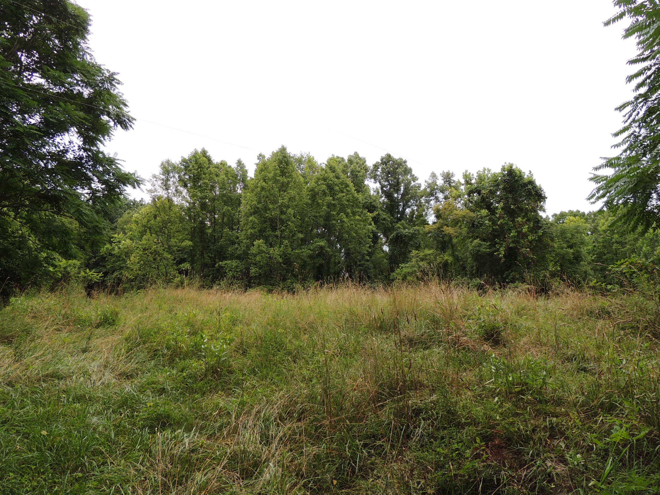 12944 Jake Tom Road Logan, OH 43138 - Photo 13 of 17