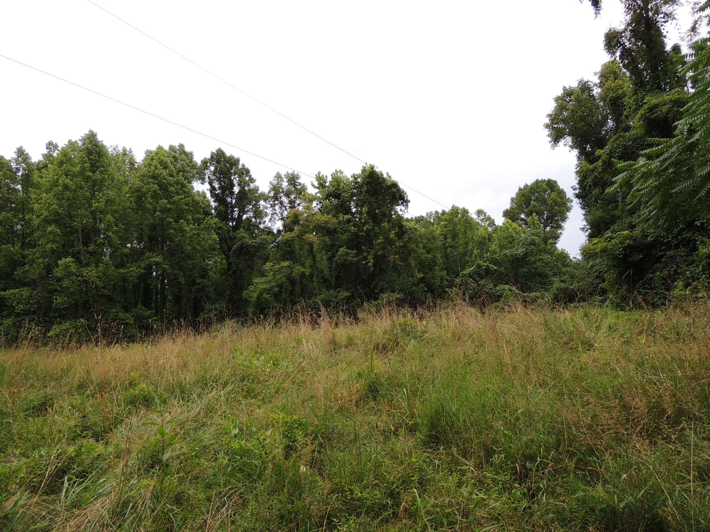 12944 Jake Tom Road Logan, OH 43138 - Photo 14 of 17