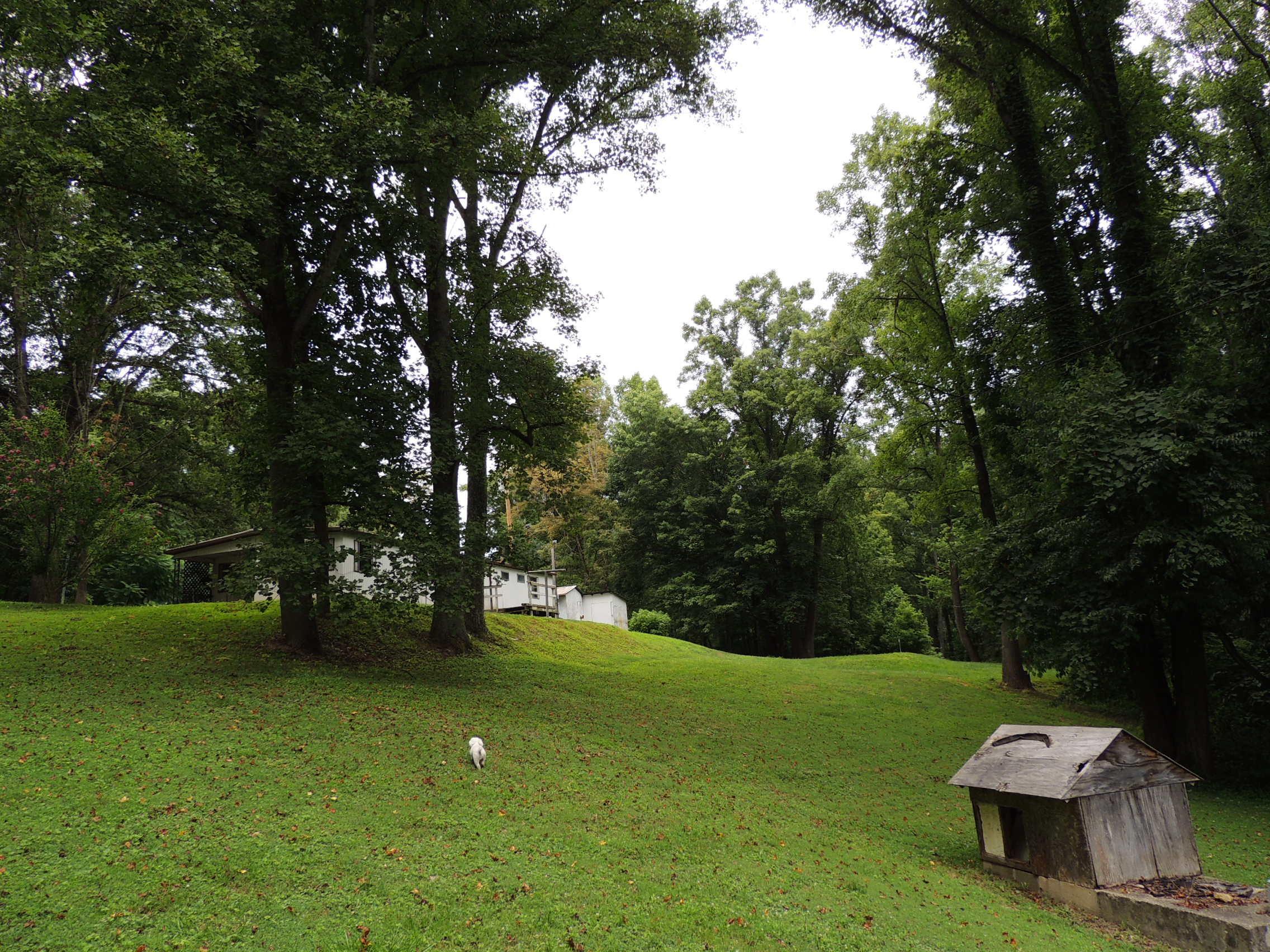 12944 Jake Tom Road Logan, OH 43138 - Photo 3 of 17