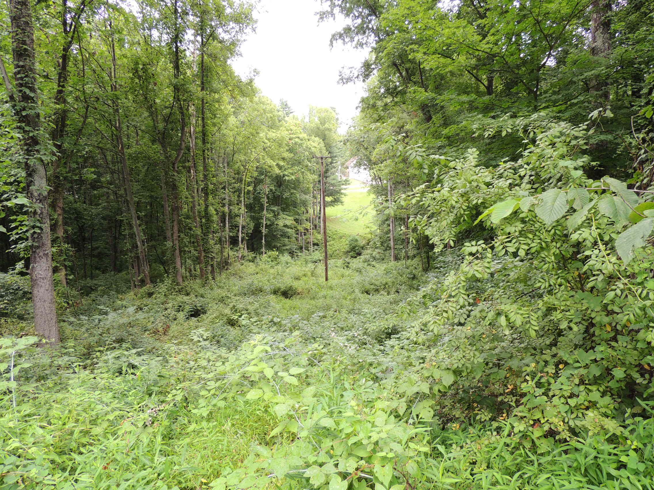 12944 Jake Tom Road Logan, OH 43138 - Photo 8 of 17