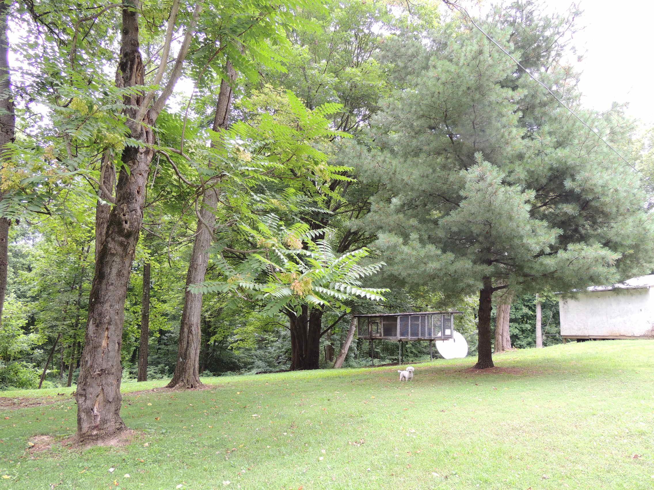 12944 Jake Tom Road Logan, OH 43138 - Photo 10 of 17