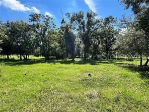 6930 Muck Pond Road Seffner, FL 33584 - Photo 4 of 23 a view of a park