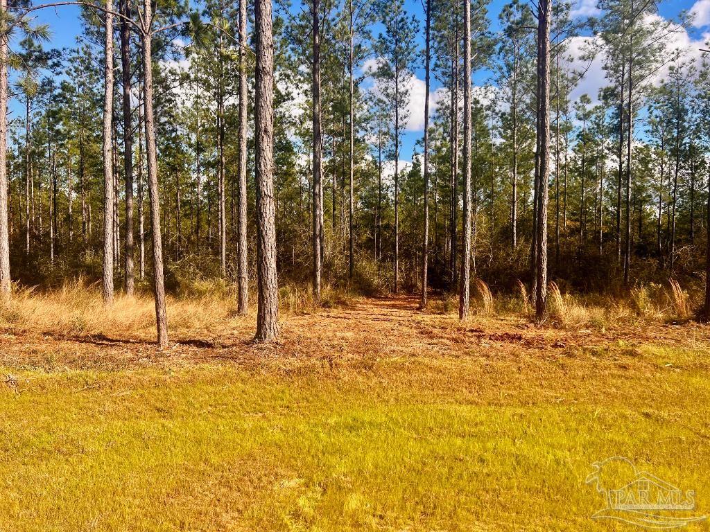 Lot 12 Denali Road Jay, FL 32565 - Photo 11 of 23