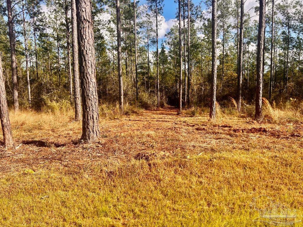 Lot 12 Denali Road Jay, FL 32565 - Photo 12 of 23