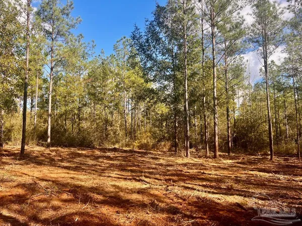 $279,000 | Lot 12 Denali Road, Jay, FL 32565