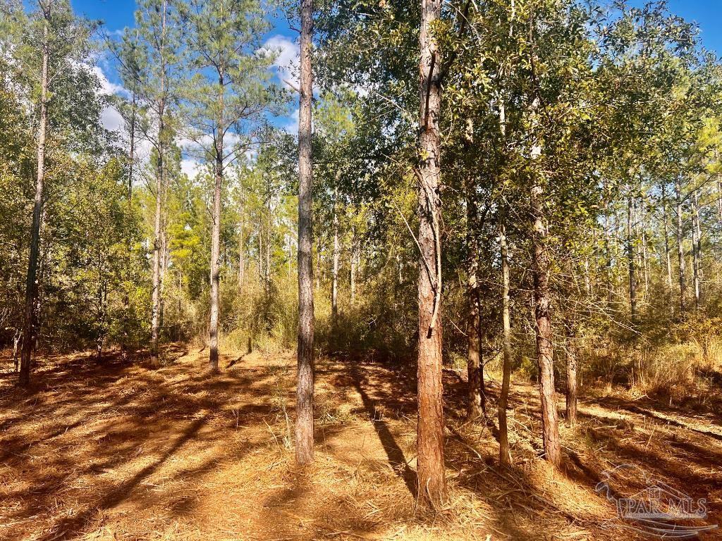Lot 12 Denali Road Jay, FL 32565 - Photo 16 of 23
