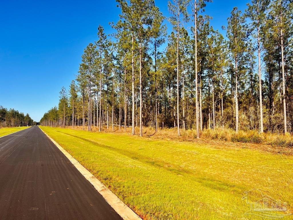 Lot 12 Denali Road Jay, FL 32565 - Photo 7 of 23