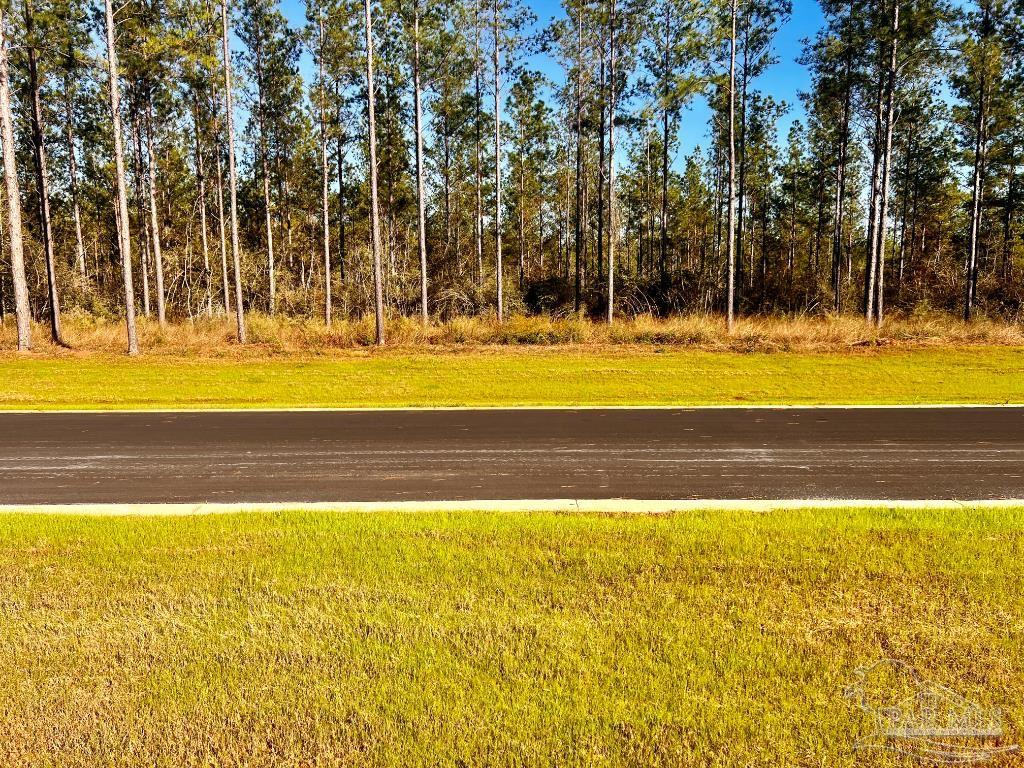 Lot 12 Denali Road Jay, FL 32565 - Photo 8 of 23