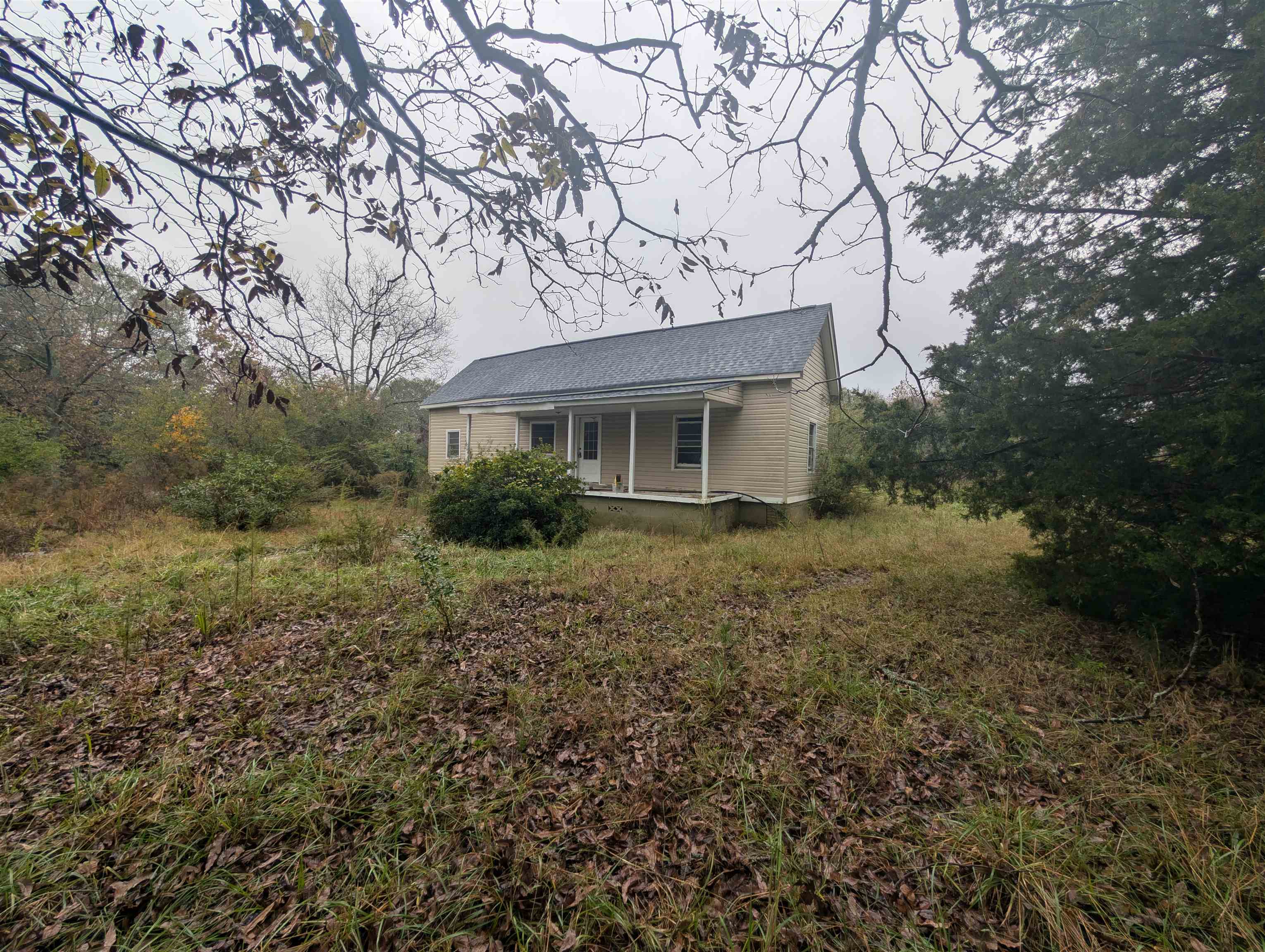 225 McCoy Road Starr, SC 29684 - Photo 4 of 24