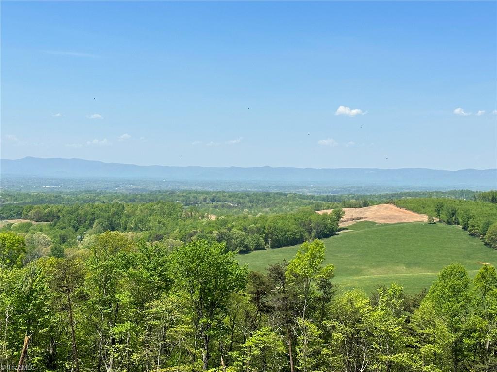 3 Howell Road Pilot Mountain, NC 27041 - Photo 3 of 21 Gallery Image 3