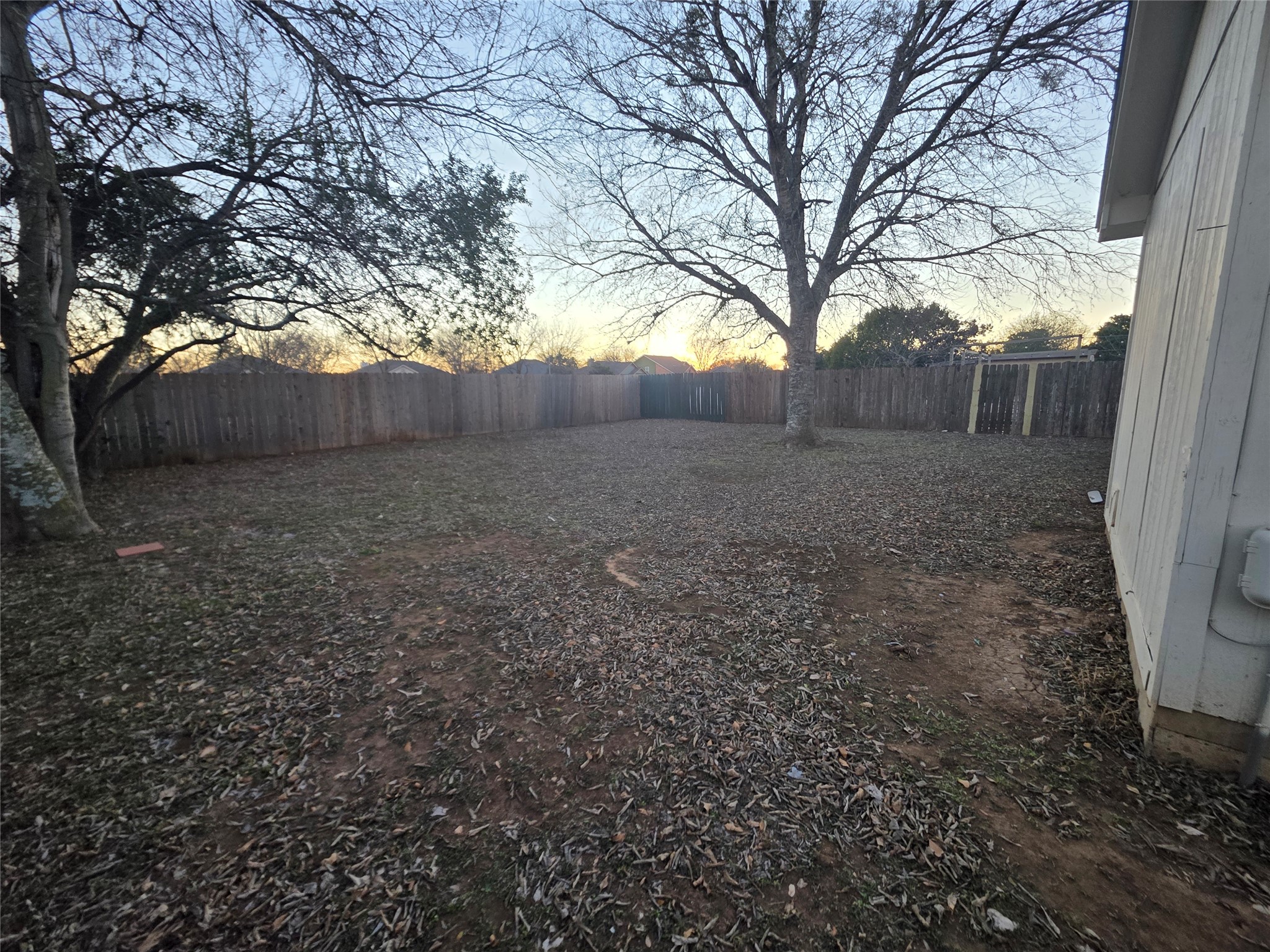 4417 Lendall Lane Austin, TX 78744 - Photo 16 of 23 a view of a yard with a tree