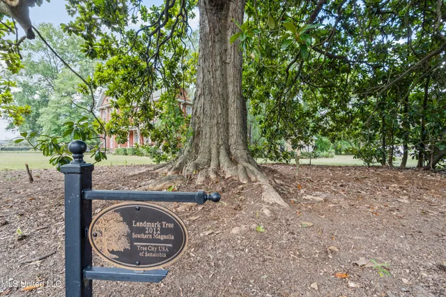 $249,900 | 224 South Ward Street, Senatobia, MS 38668