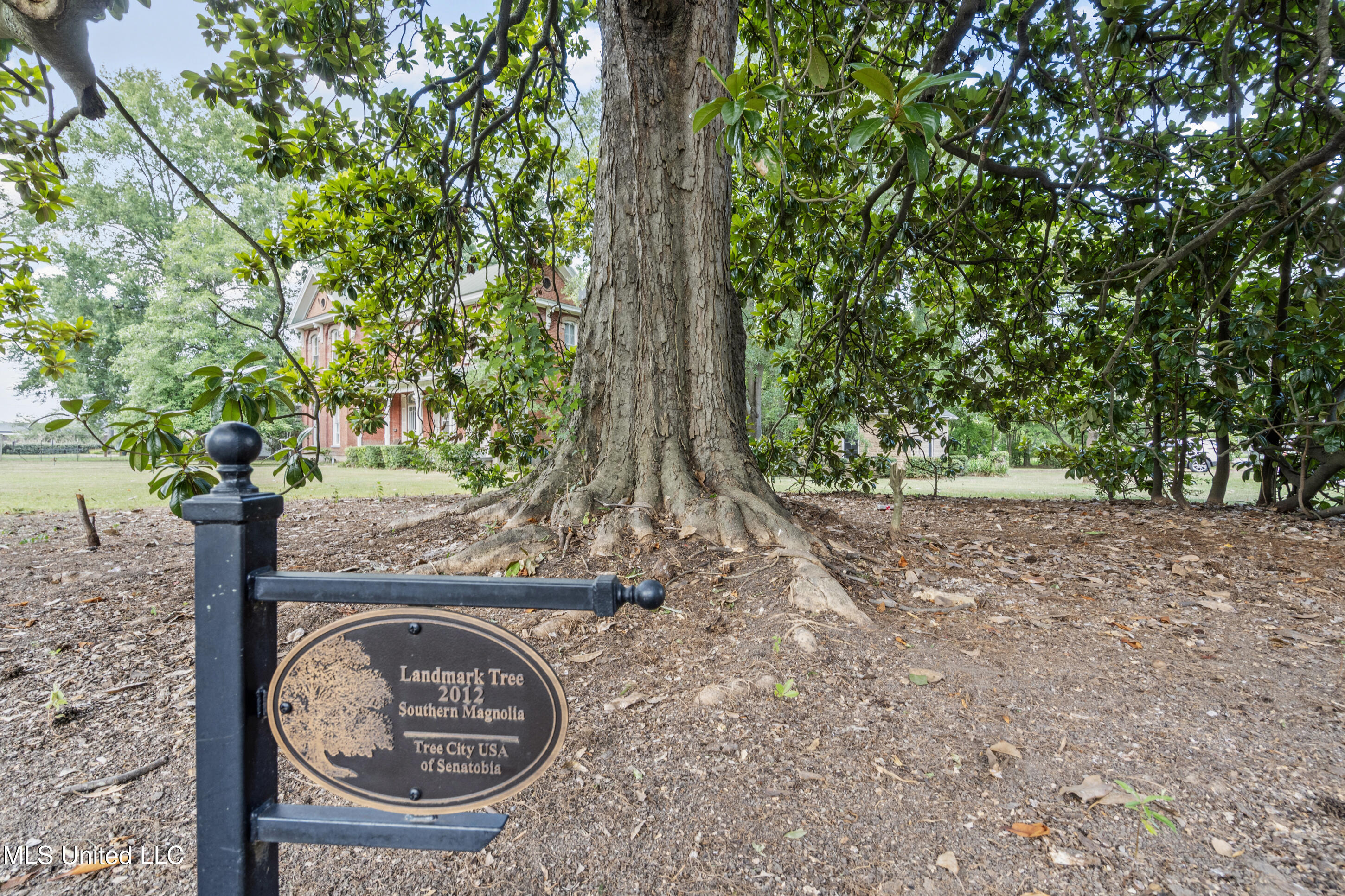 224 South Ward Street Senatobia, MS 38668 - Photo 17 of 22 21__dsc2649