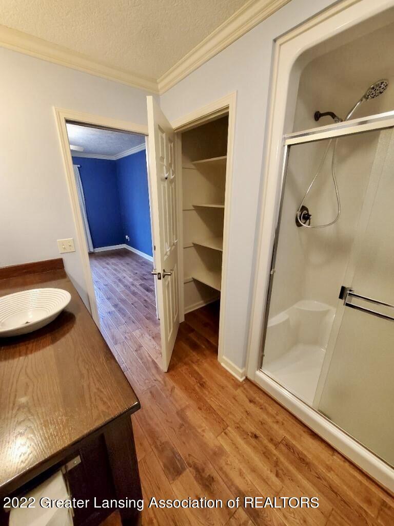 1017 Randy Lane St. Johns, MI 48879 - Photo 17 of 27 Full bath 1