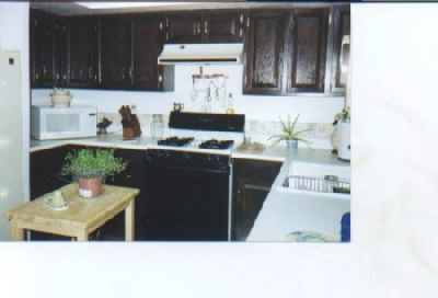 3923 North Swiss Road Flagstaff, AZ 86004 - Photo 2 of 10 Additional Photo