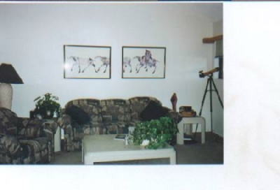 3923 North Swiss Road Flagstaff, AZ 86004 - Photo 4 of 10 Additional Photo