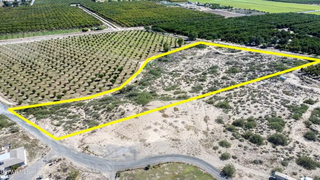 a view of outdoor space with garden