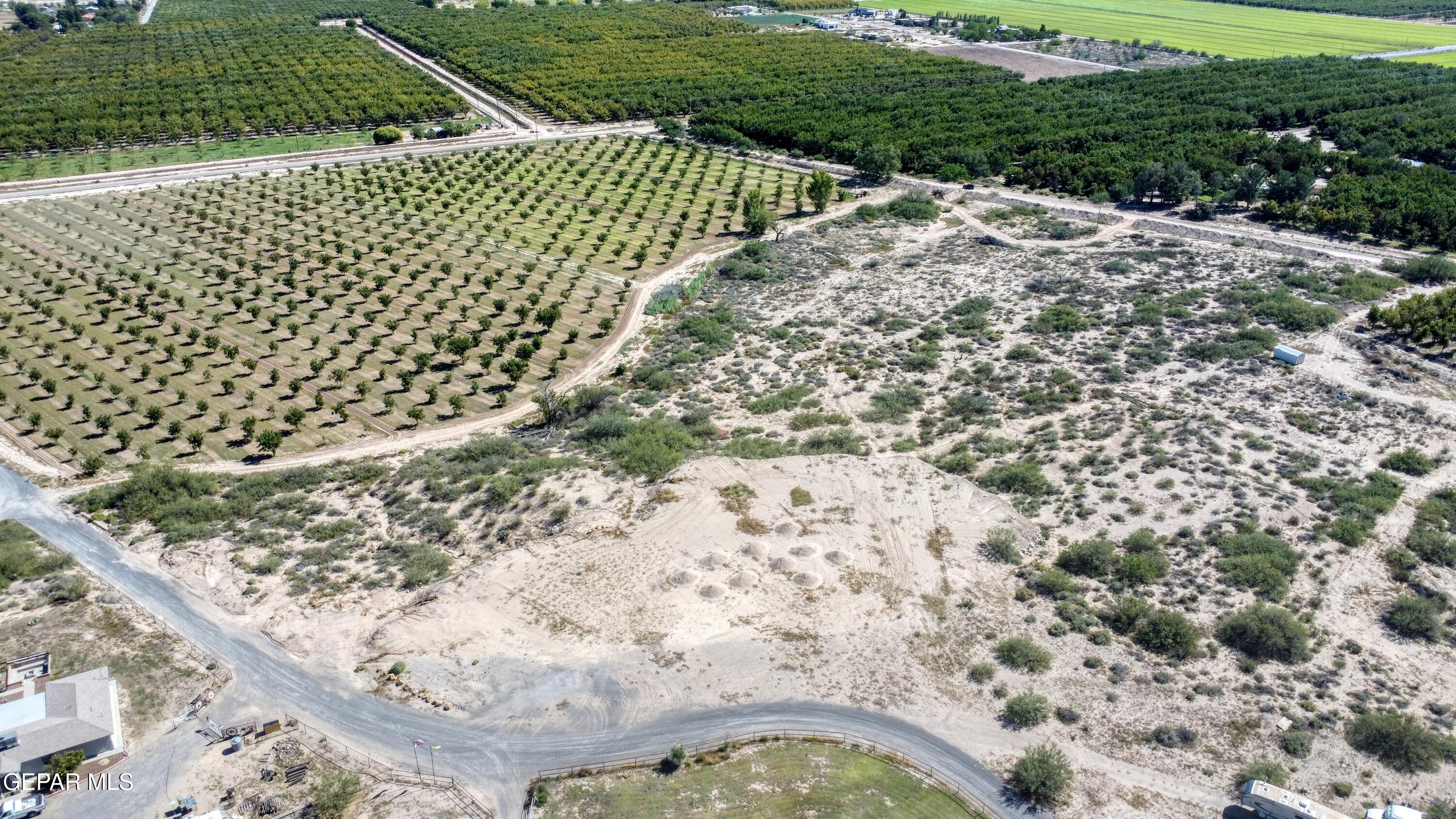230 Sandy Creek Road Anthony, NM 88021 - Photo 12 of 20 a view of a pathway with a garden