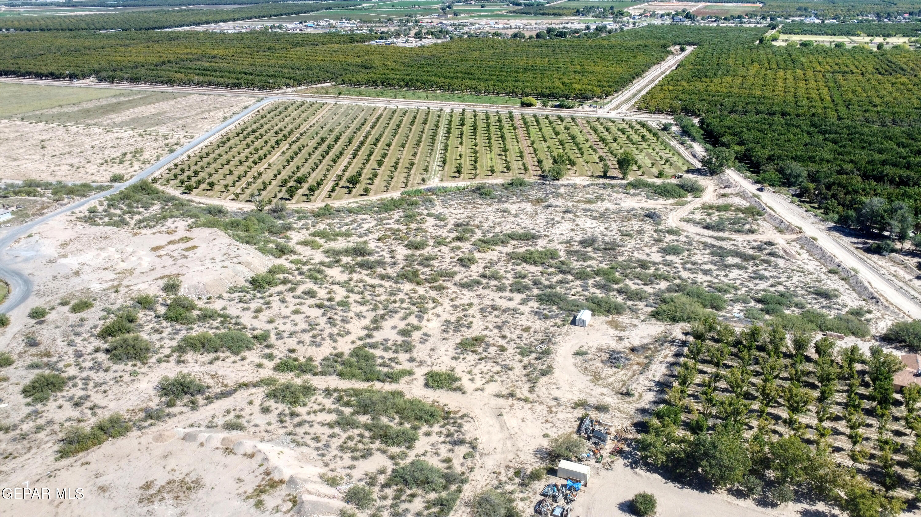 230 Sandy Creek Road Anthony, NM 88021 - Photo 14 of 20 a view of outdoor space with garden