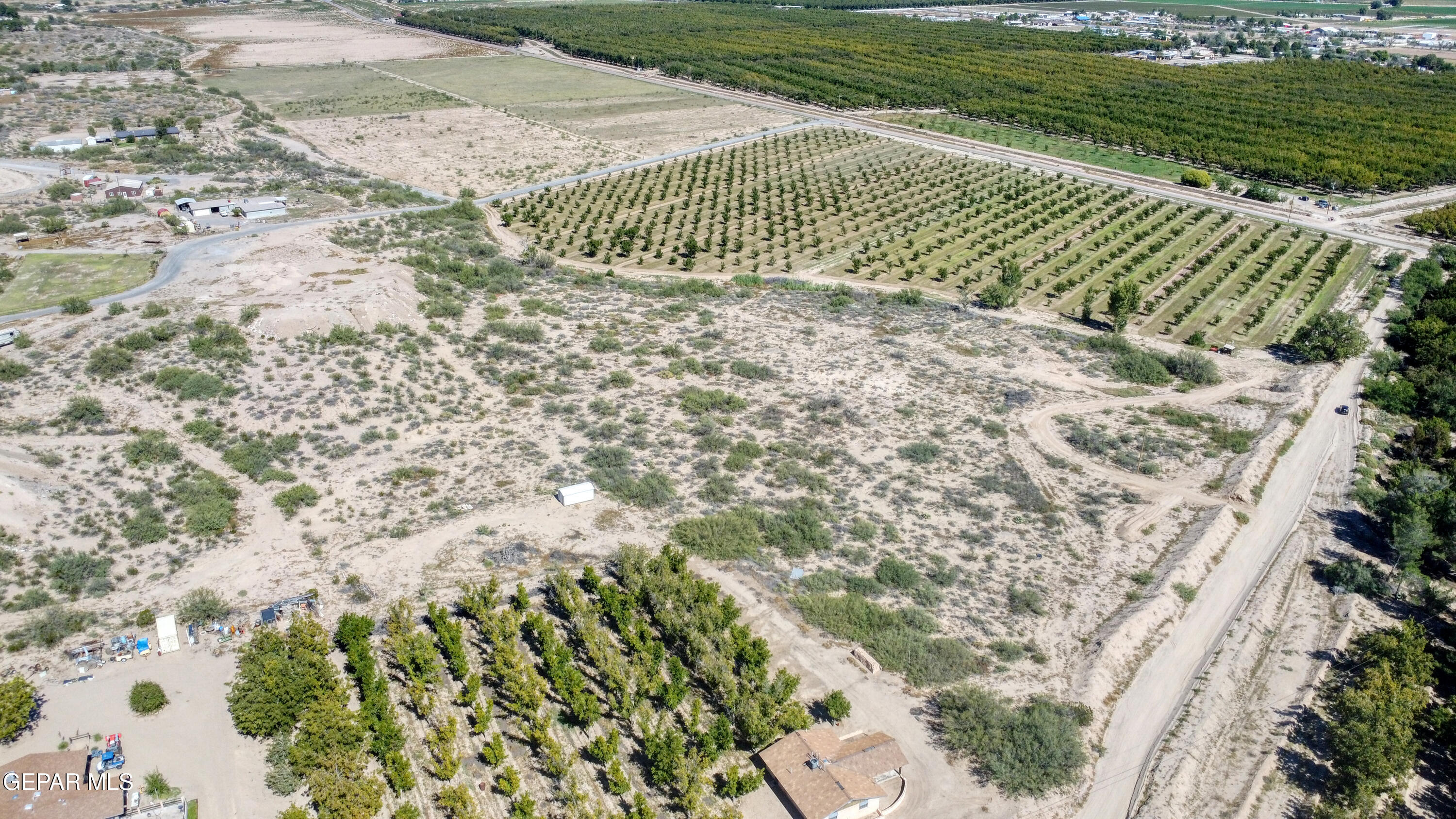 230 Sandy Creek Road Anthony, NM 88021 - Photo 16 of 20 a view of a garden with a pathway