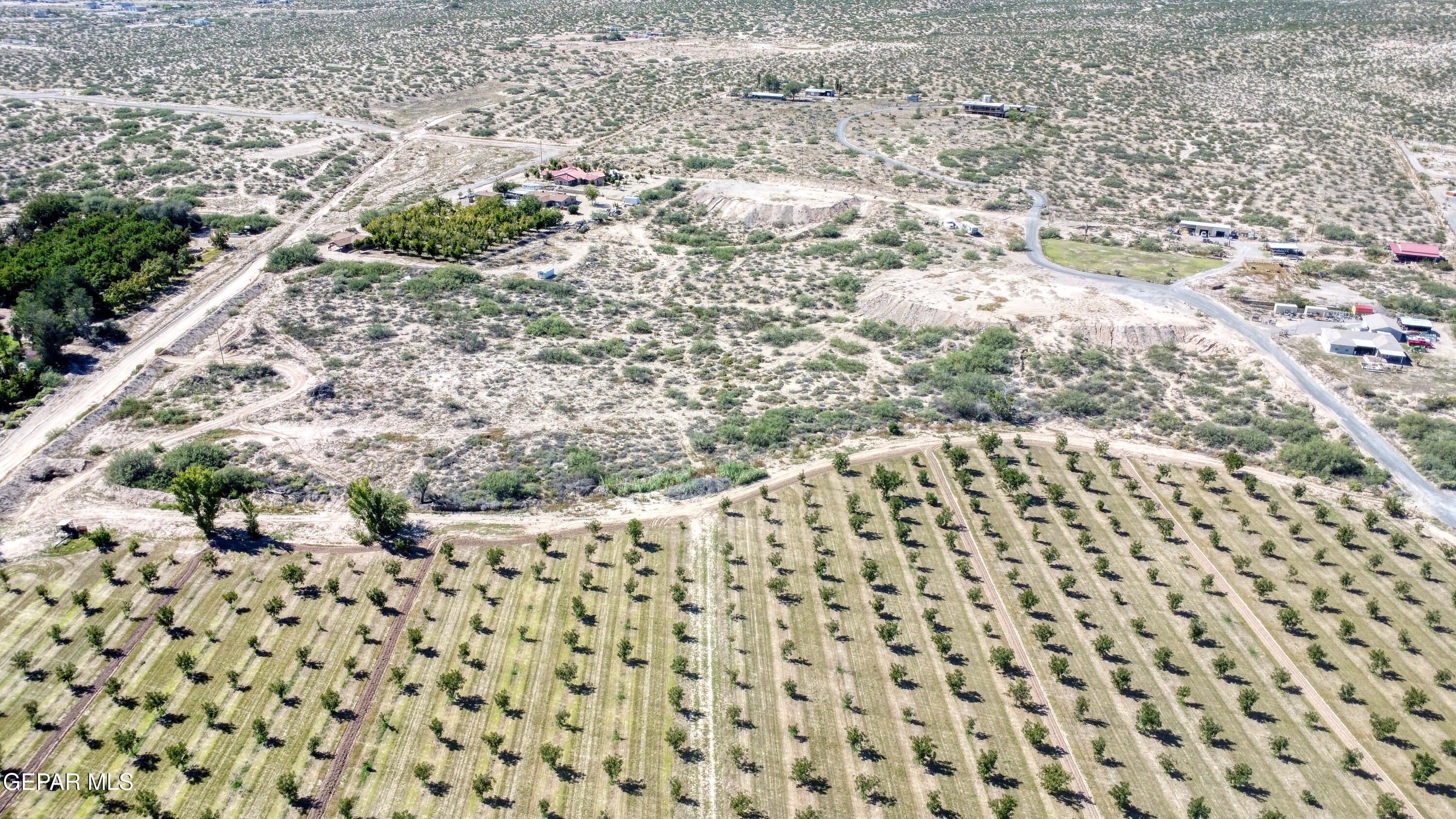 230 Sandy Creek Road Anthony, NM 88021 - Photo 6 of 20 a view of a yard