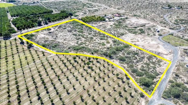 a view of a dry yard