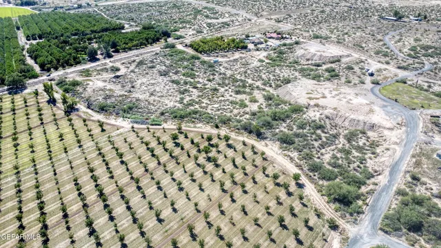 a view of outdoor space and garden