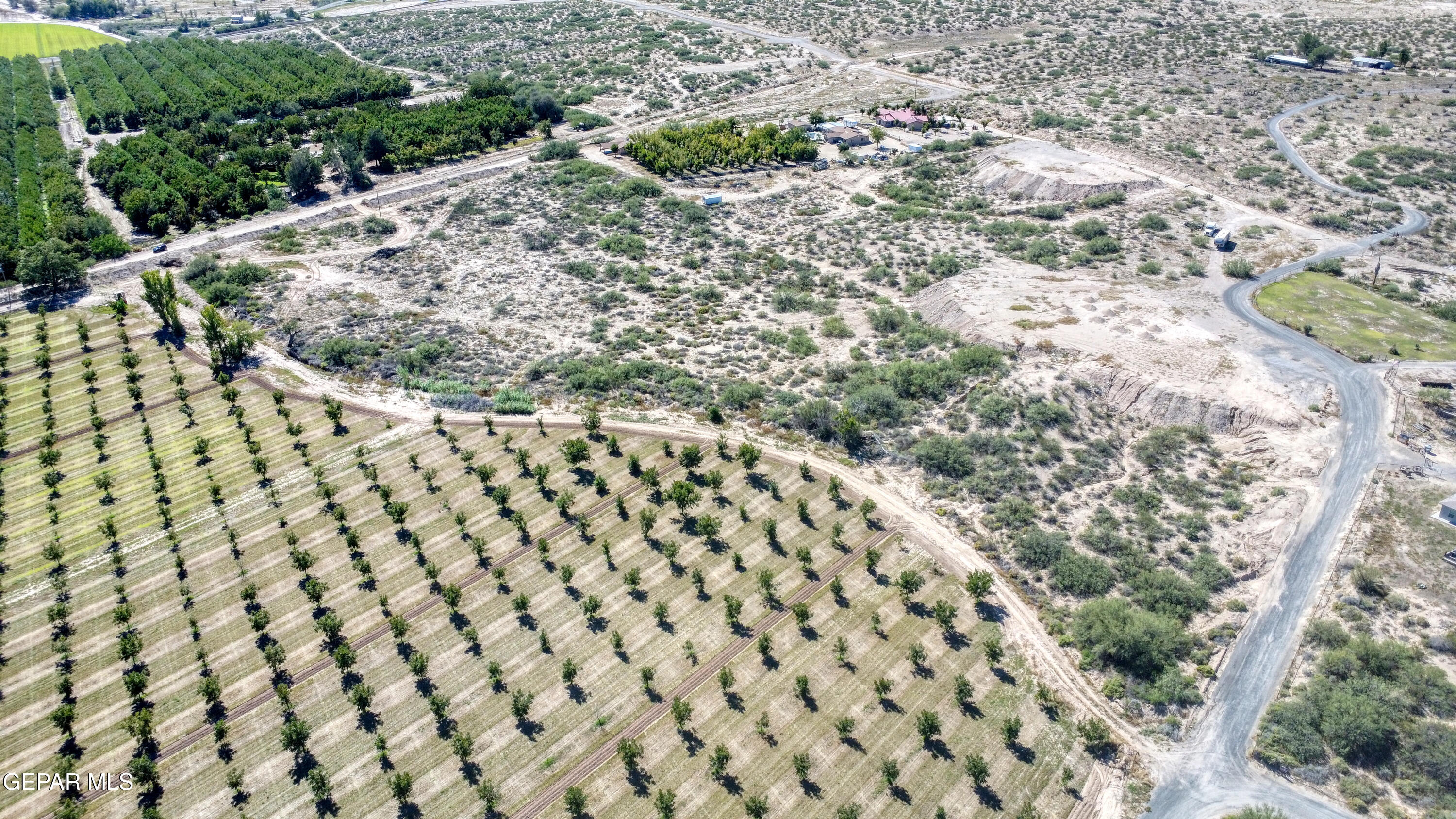 230 Sandy Creek Road Anthony, NM 88021 - Photo 8 of 20 a view of a dry yard