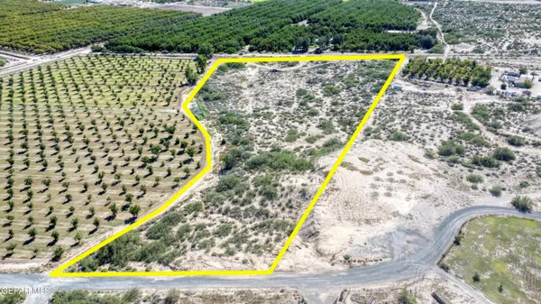 a view of a pathway with a garden