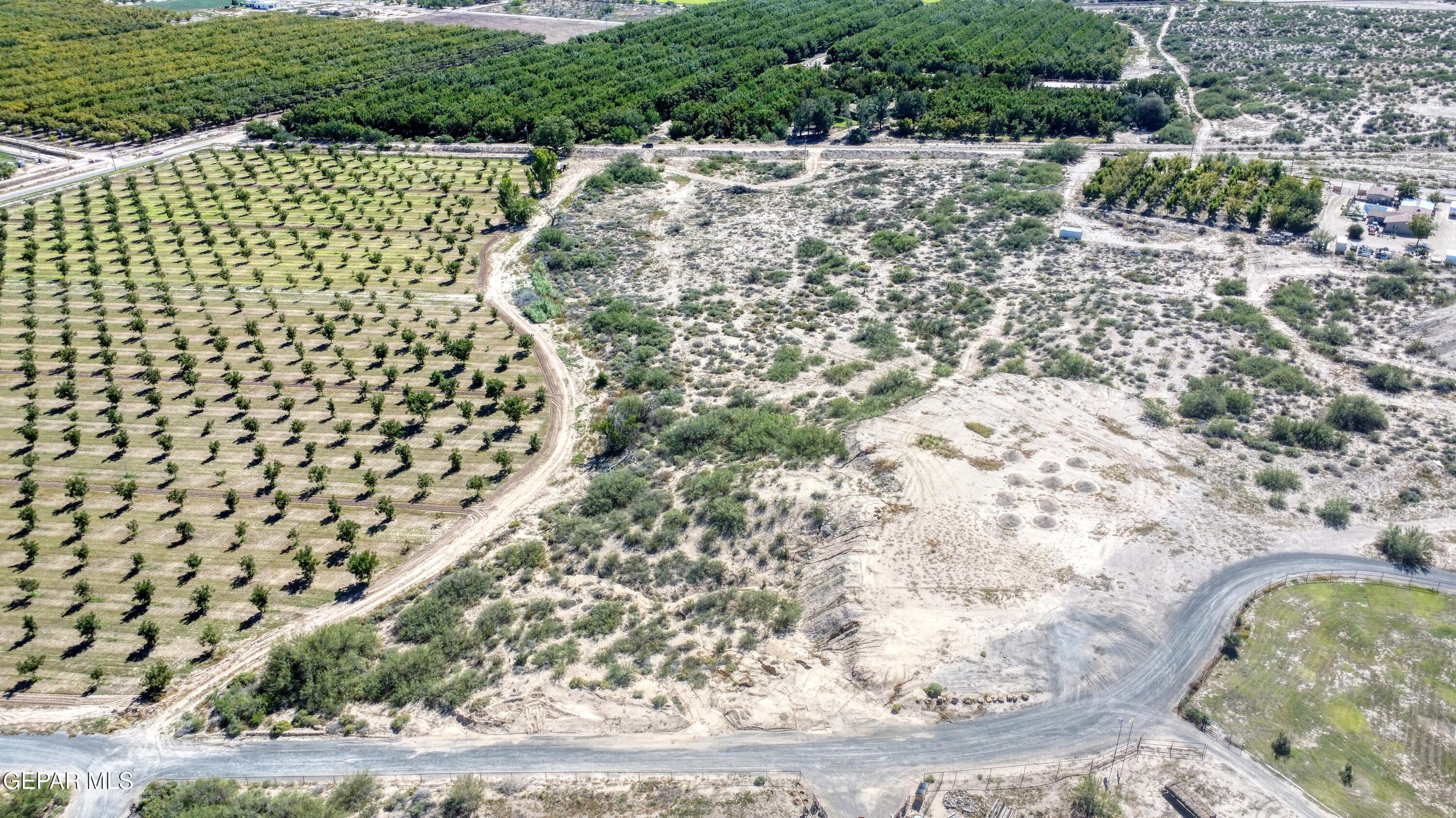 230 Sandy Creek Road Anthony, NM 88021 - Photo 10 of 20