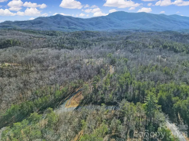$69,000 | Lot 19 Ostin Creek Trail Mill Spring, Unit 19, Mill Spring, NC 28756