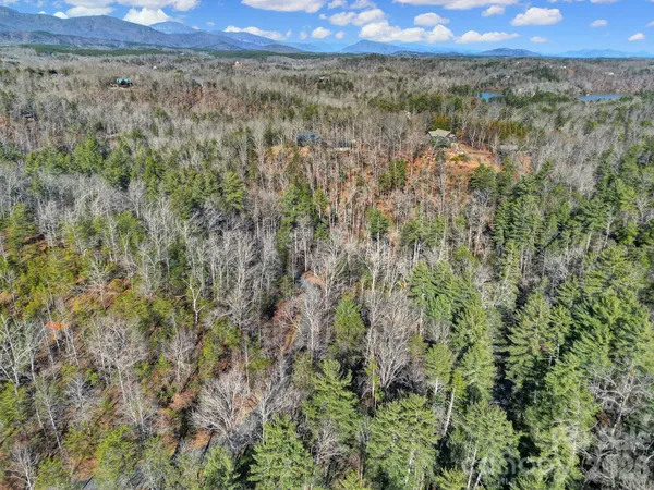 a view of a lush green field