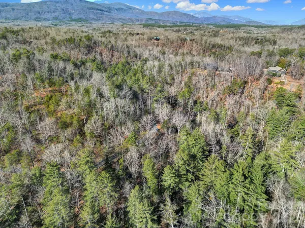 a view of a field of grass and trees