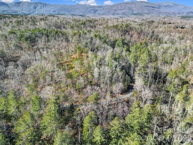 $69,000 | Lot 19 Ostin Creek Trail Mill Spring, Unit 19, Mill Spring, NC 28756